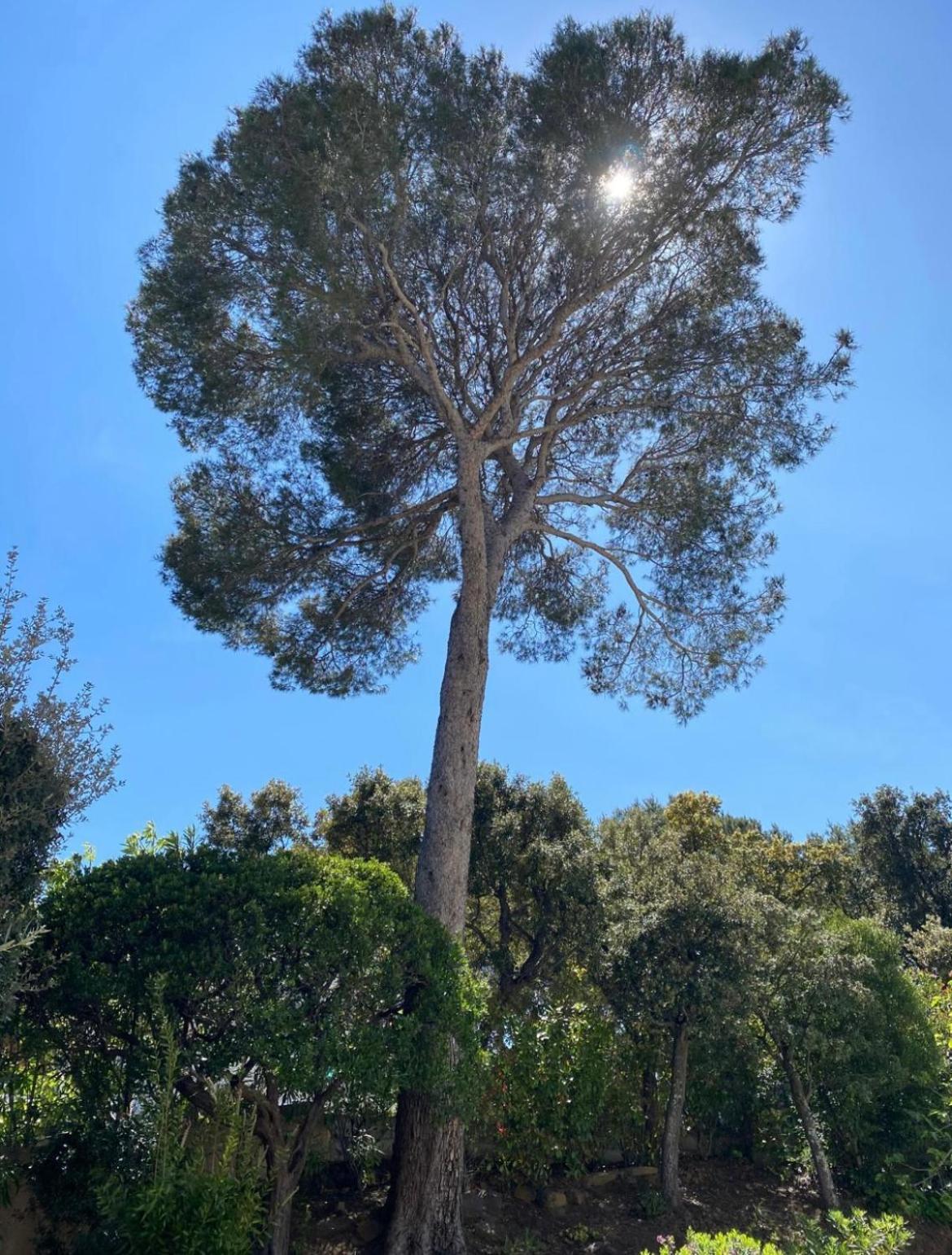 Belle Villa Dans Clos Prive - Saint Raphael Boulouris ภายนอก รูปภาพ