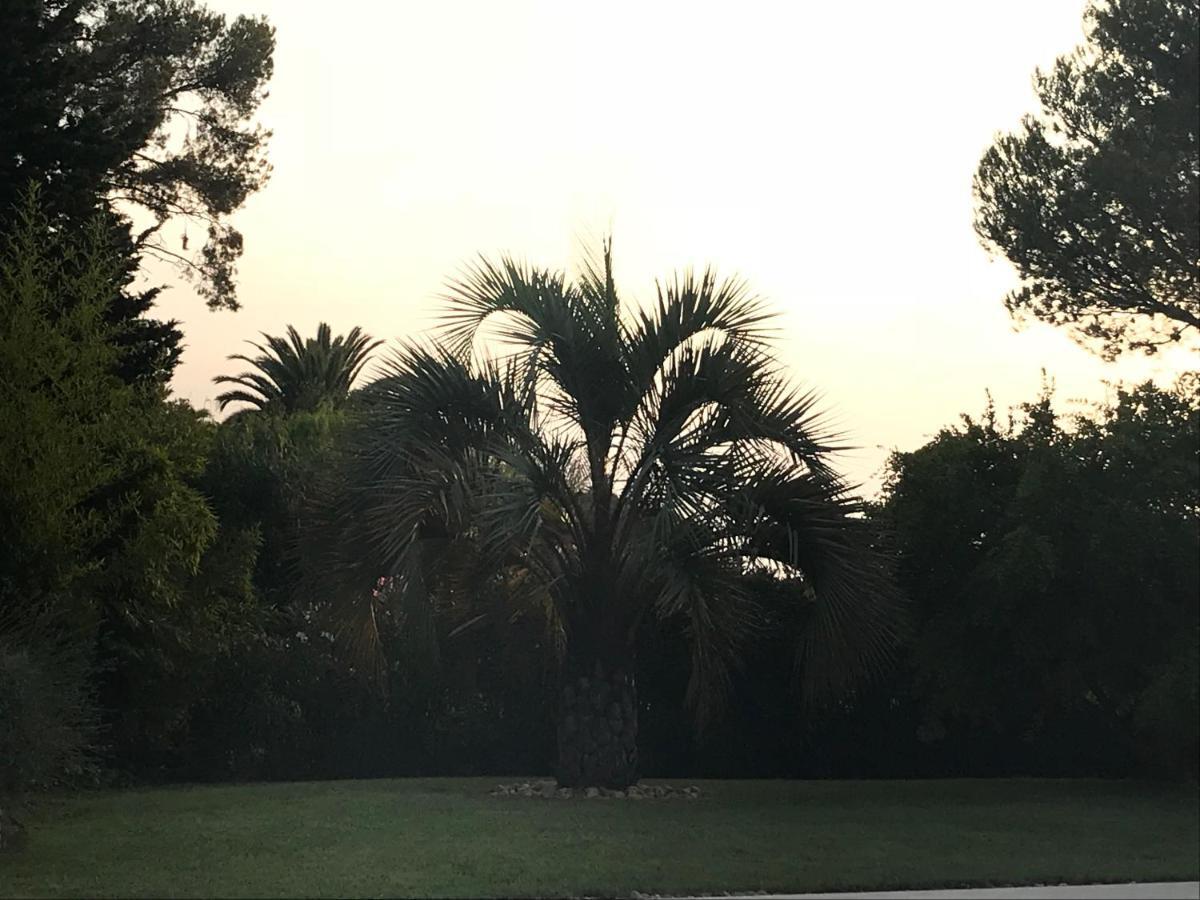 Belle Villa Dans Clos Prive - Saint Raphael Boulouris ภายนอก รูปภาพ